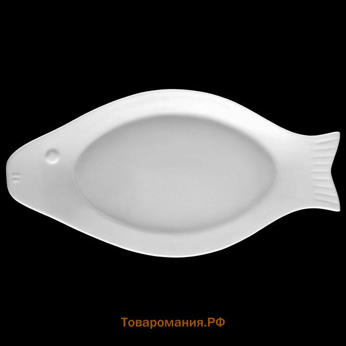 Блюдо фарфоровое для рыбы Wilmax, 22×10,5 см, цвет белый