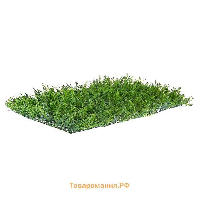 Декоративная панель, 60 × 40 см, «Сочная трава», Greengo