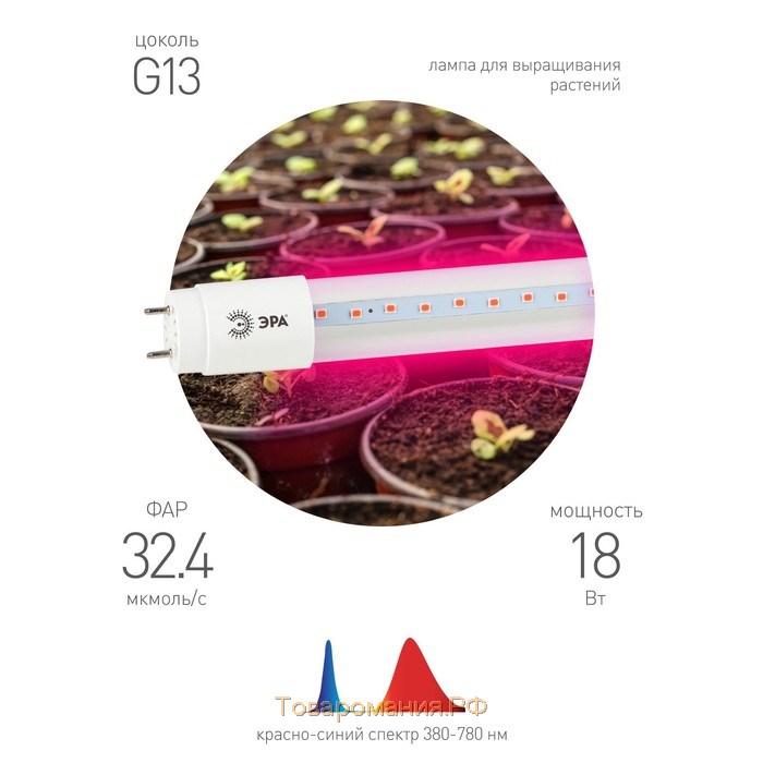 Фитолампа светодиодная, для растений, 18 Вт, 1200 мм, IP20, сине-красный спектр, фиолетовая, «ЭРА»