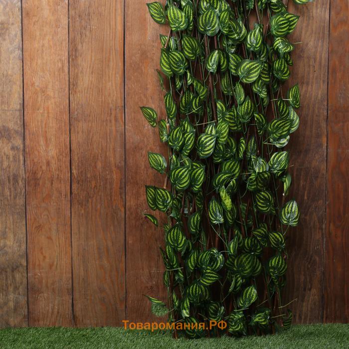 Ограждение декоративное, 200 × 75 см, «Лист осины», Greengo