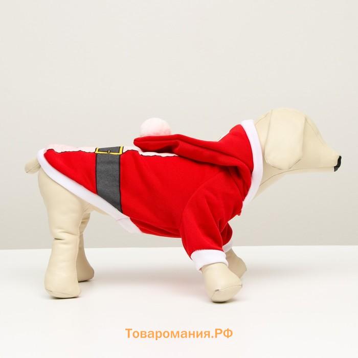 Толстовка для собак Santa, XL (ДС 40, ОГ 50 см)