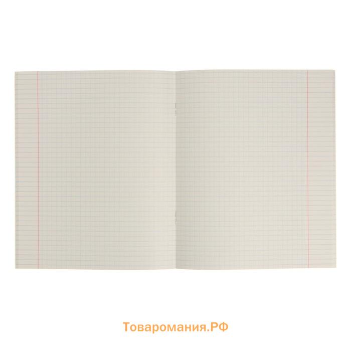 Тетрадь предметная "Кирпич" 40 листов в клетку "Физика", бумажная обложка, блок №2