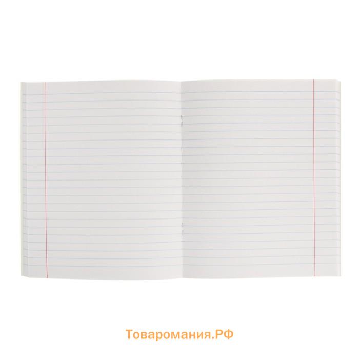 Тетрадь предметная "Кирпич" 40 листов в линию "Русский язык", бумажная обложка, блок №2 (серые листы)
